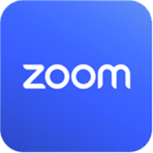 Zoom Logo